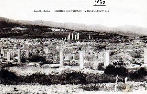 ALGERIE-RUINES ROMAINES DE LAMBESE (8)